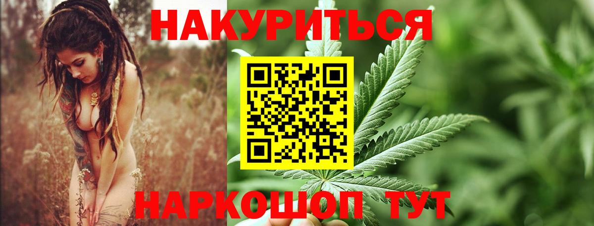 Каннабис индика Майкоп